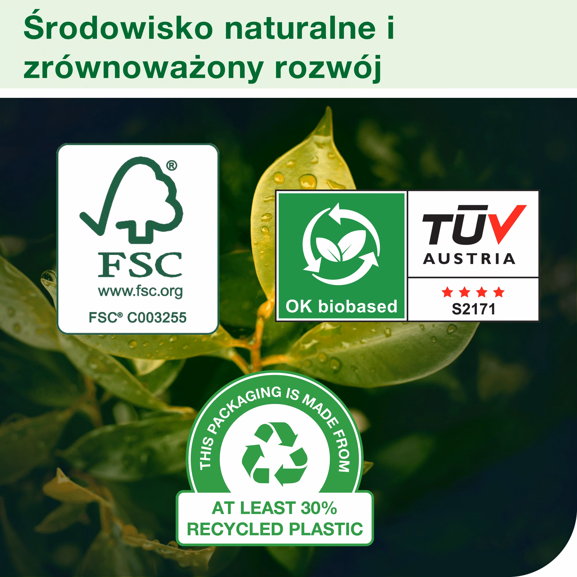 Tork czyściwo włókninowe superwytrzymałe, certyfikaty ekologiczne FSC, OK biobased i TÜV Austria na tle liści