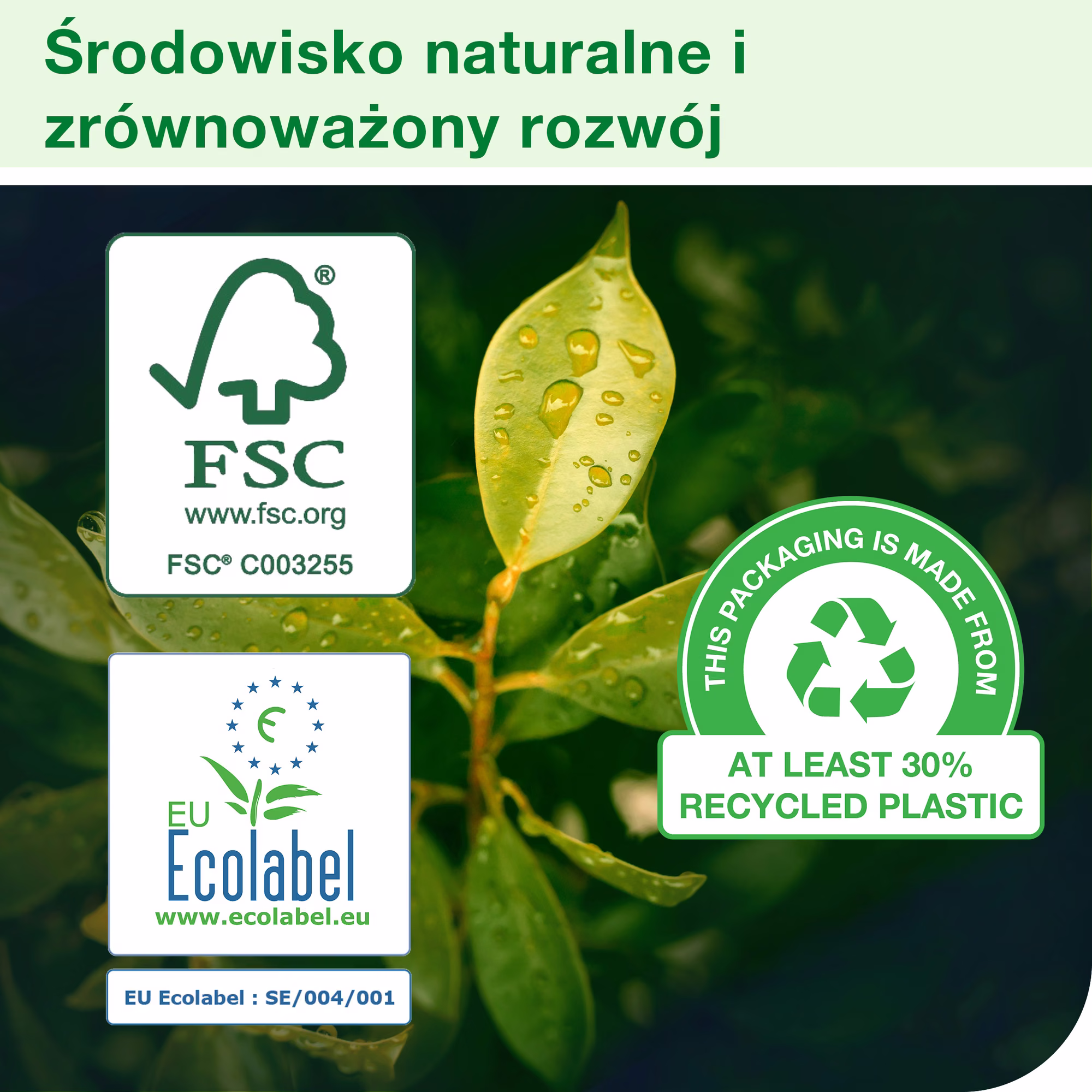 Tork Reflex™ czyściwo papierowe do lekkich zabrudzeń, certyfikaty FSC i EU Ecolabel na tle zielonych liści